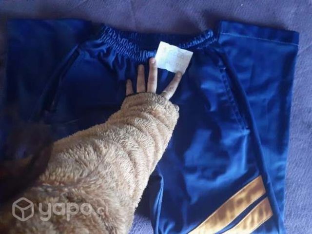 Pantalon buzo colegio san fernando college 10