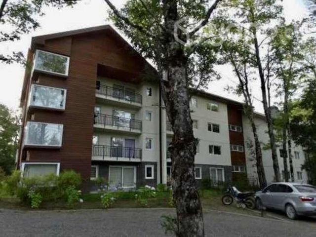 Arriendo amplio departamento Mensual en Pucón