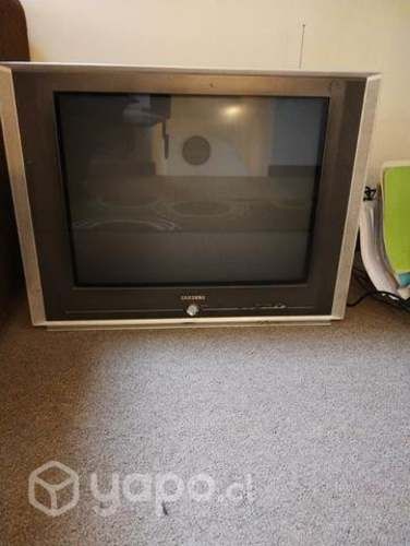 Televisor Samsung 25 pulgadas