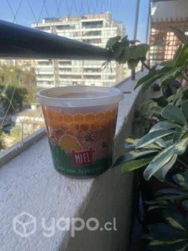 Miel de abeja