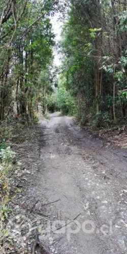 Se venden 19,35 ha Piedra Azul Alto, Puerto Montt