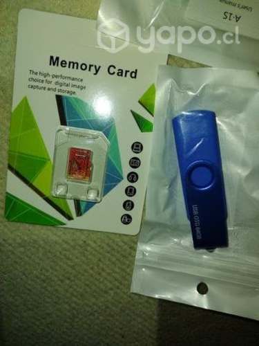Pendrive y tarjeta memoria card