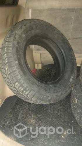 Neumaticos nuevos