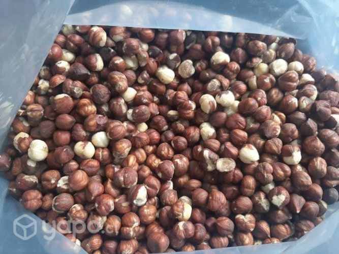 Avellanas Europea tostada