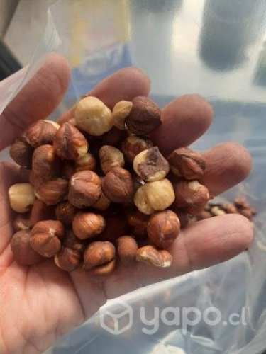 Avellanas Europea tostada