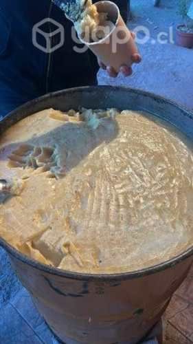 Miel de Ulmo natural