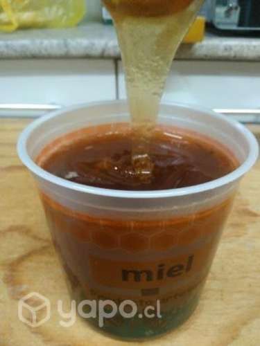 Miel pura 100%