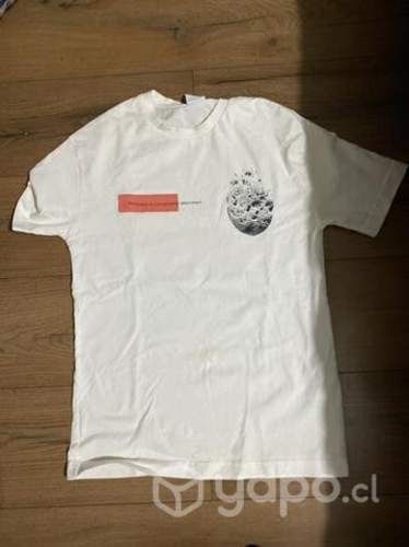 Polera zara con diseño
