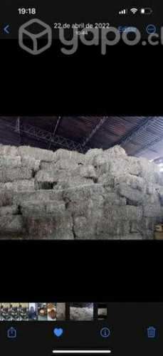 Fardos 4to y 5to corte