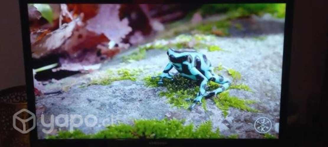 Pantalla Samsung 22 Pulgadas