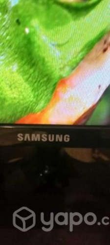 Pantalla Samsung 22 Pulgadas