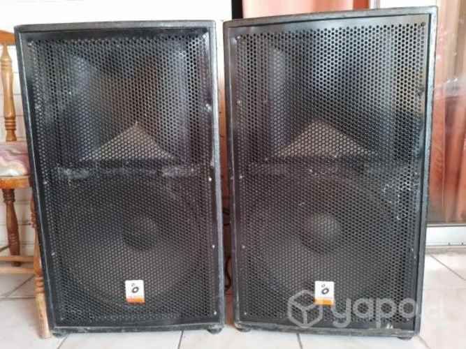 2 parlantes pasivo para equipo vocal