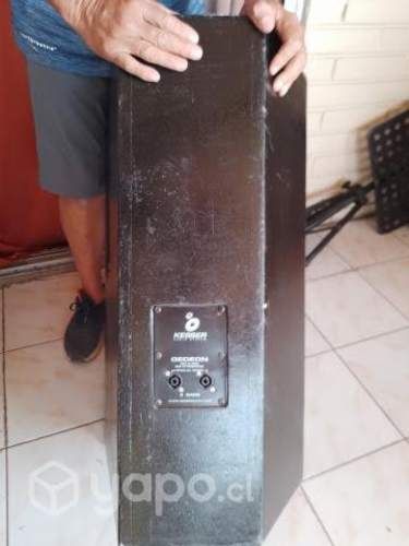 2 parlantes pasivo para equipo vocal