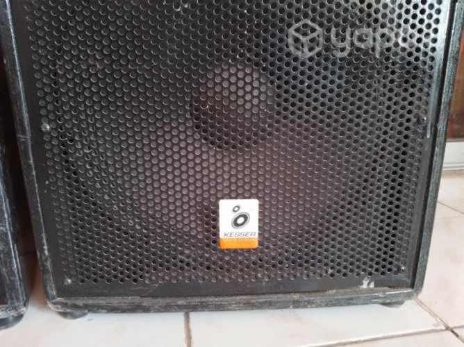 2 parlantes pasivo para equipo vocal