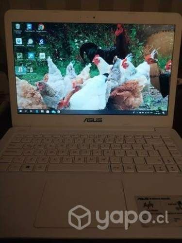 Notebook Asus E402S
