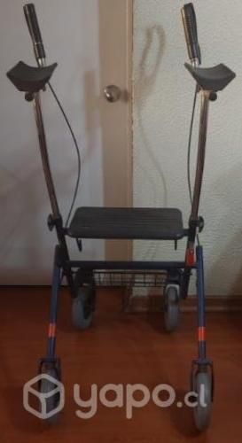 Andador adulto mayor