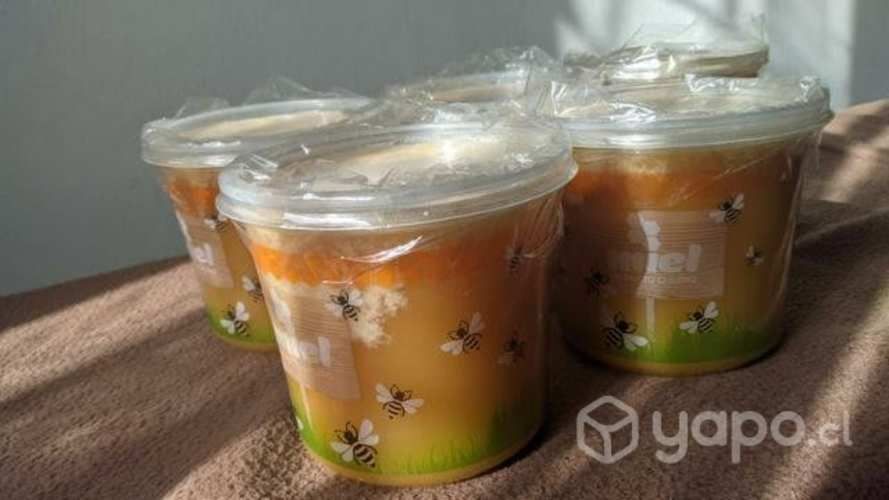 Miel de flor de avellano