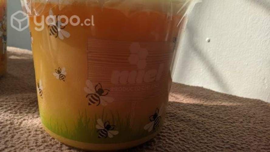 Miel de flor de avellano