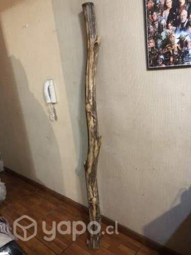 Diyeridú o Didgeridoo