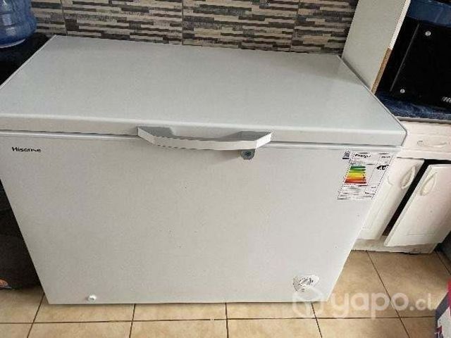 Congeladora 297 lts.