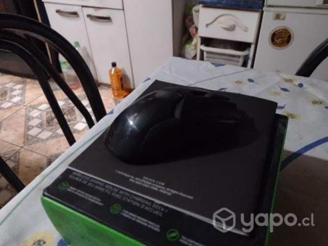 Mouse razer