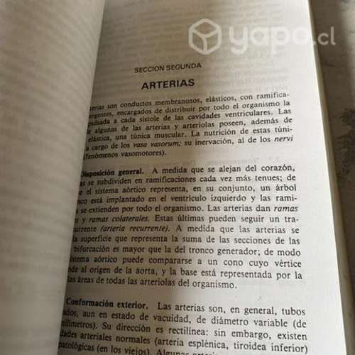 Compendio Anatomía Descriptiva