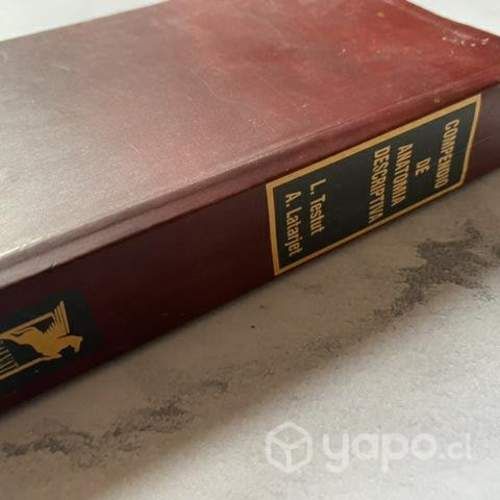 Compendio Anatomía Descriptiva