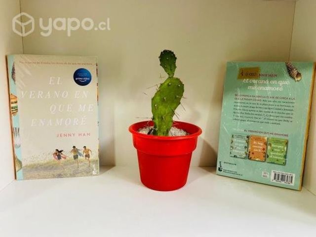 El verano en que me enamore