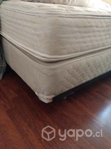 Cama americana 1,5 plaza, rosen