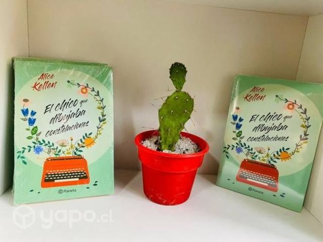 El chico de dibujaba constelaciones