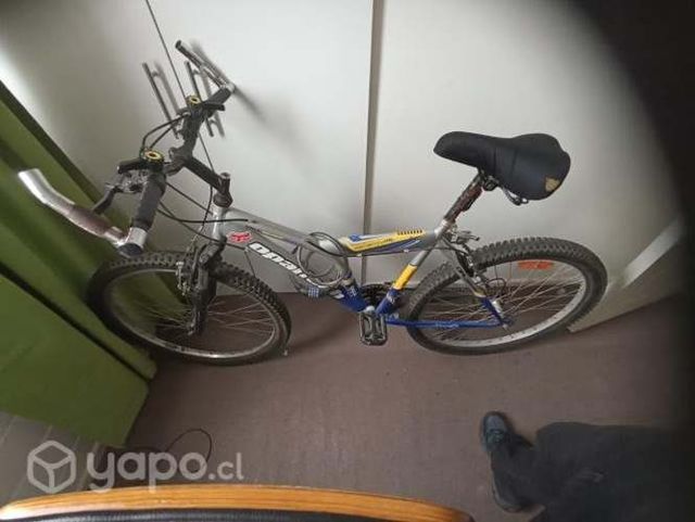 Bicicleta