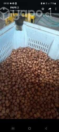 Nueces, con cascara y sin cascara. por mayor
