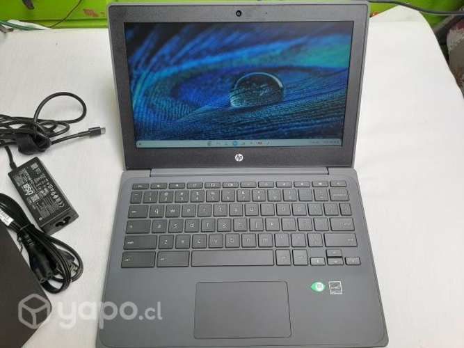 Chromebook HP