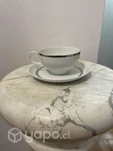 Loza de porcelana thomas y Florencia