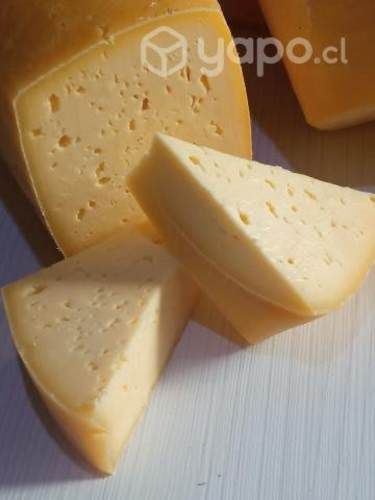 Queso mantecoso artesanal Exquisito
