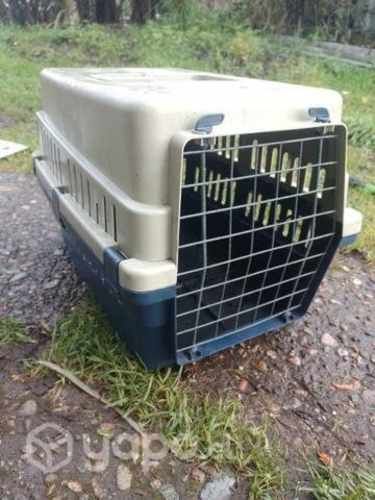 Caja para transportar animalitos