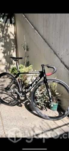 Avanti pista pro fixie/fijo