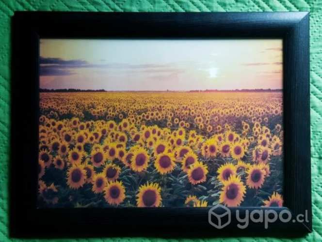 Hermosos cuadros decorativos para regalar