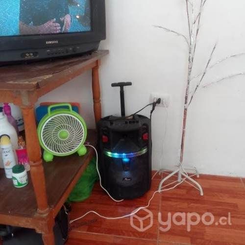 Tv y parlante