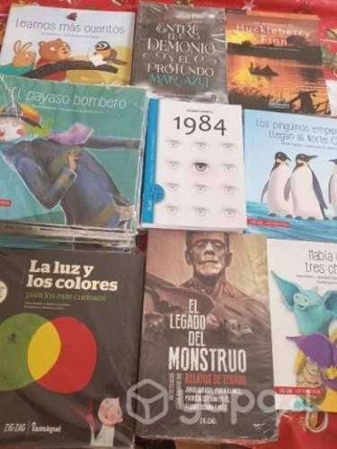Libros plan lector