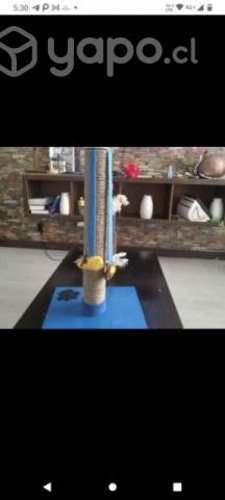 Rascadores para gato