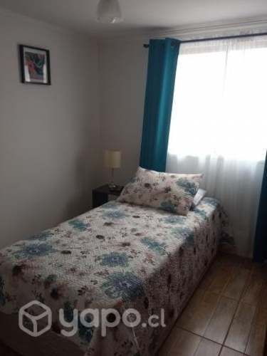 pieza a dama sector sotero del rio