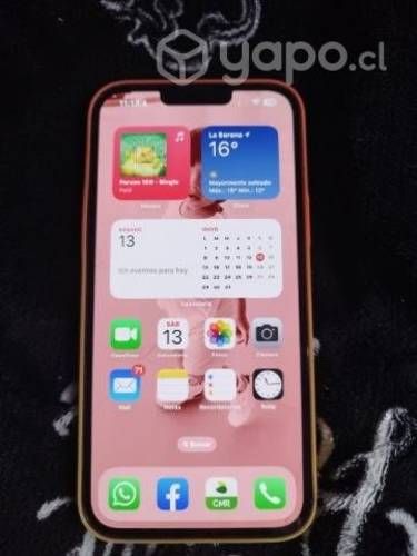 Iphone 13 Pro Max 256