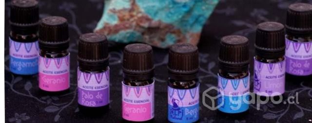 Esencias naturales de lavanda.romero eucaliptus et