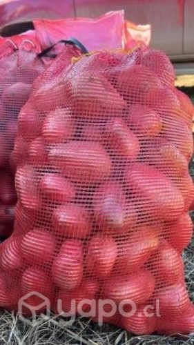 Sacos de papas 25 kls