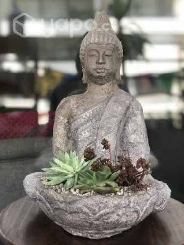 Arreglos con Suculentas