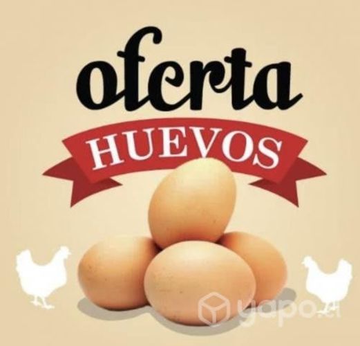 Huevos x mayor
