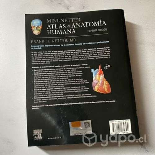 Mini Netter 7ma Edición Original