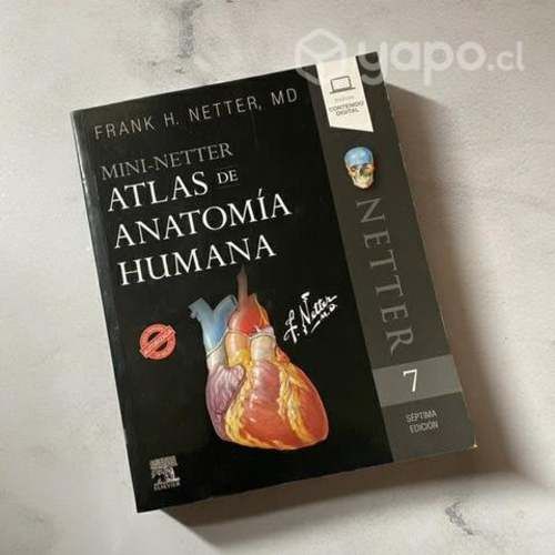 Mini Netter 7ma Edición Original