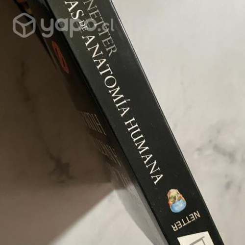 Mini Netter 7ma Edición Original